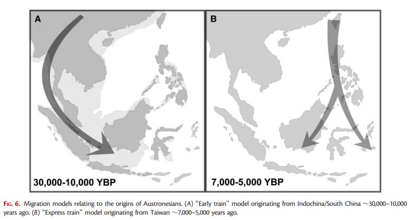 Austronesian migration models.JPG