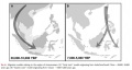 Austronesian migration models.JPG